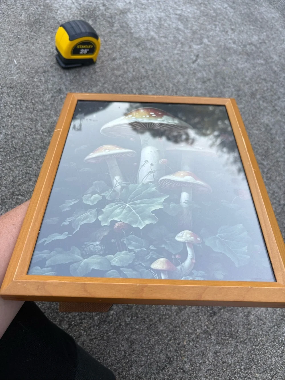 Vintage framed art print dark woodland scene dominated by large red mushrooms - Picture 4 of 11